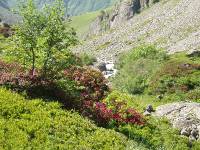 Youri - Ecrins 2005 050